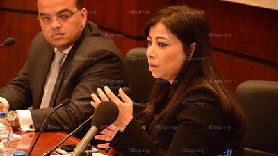 خورشيد: نعمل على إصدار قانون الاستثمار خلال النصف الأول من العام الجاري