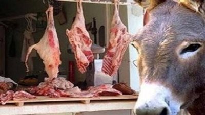 تعرف على عقوبة بيع لحوم الحمير 