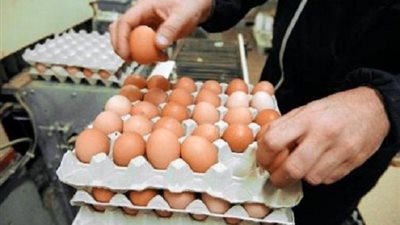 المقاطعة سلاح ربات البيوت بعد ارتفاع سعر 