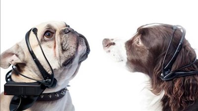 جهاز ترجمة نباح الكلب ومقياس الأصبع.. اختراعات حقيقية لم تسمع عنها !