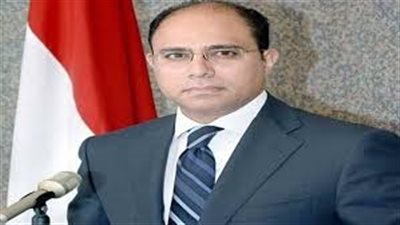 متحدث الخارجية: نجري اتصالات لترتيب زيارة لـ