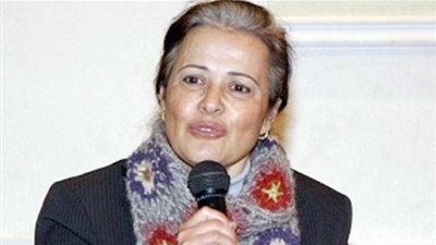 منى مينا: القطاع الصحي بمصر مهدد بسبب الأوضاع الاقتصادية