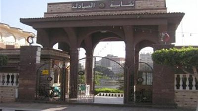 نقابة الصيادلة: 