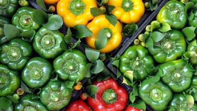 عاجل.. السعودية تقرر حظر استيراد الفلفل من مصر