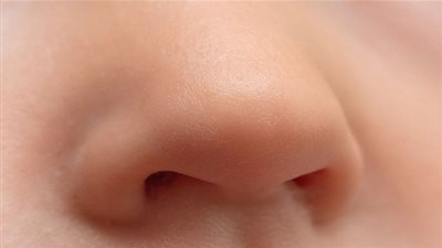 تعرف على سبب وجود شعر في أنف الإنسان