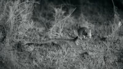  بإيقاع أسرع من المتوقع 