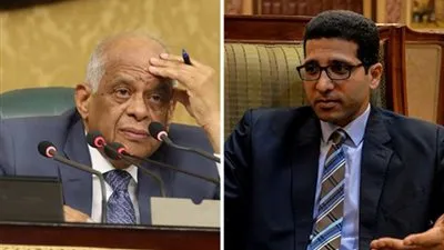 هيثم الحريري يفاجئ رئيس مجلس النواب بعد تأييد مصرية 