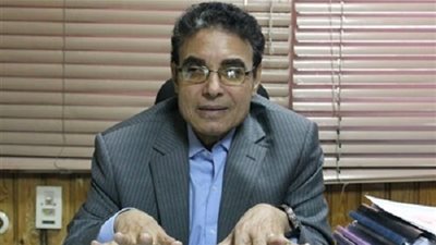 محمود كبيش: مناقشة قضية ترسيم الحدود بالبرلمان توريط للمسئولين