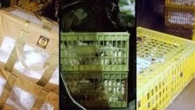 جمرك سلوى تضبط إطار احتياطي ملغم بـ 80 ألف حبة 