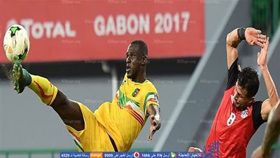 مدرب مالي: حزين للتعادل مع منتخب مصر العريق وهدفنا الفوز على غانا وأوغندا (فيديو)