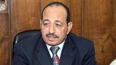 أستاذ علوم سياسة: استقرار الأسعار يحتاج من 4 إلى 6 أشهر.. والمواطن مستعجل