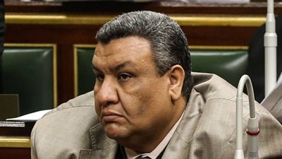  برلماني: الحكومة فشلت في كل شيء والأسعار زادت 300 %