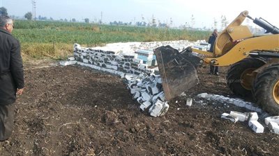 حملة لإزالة الأبنية المتعدية على الأراضي الزراعية بدمياط 