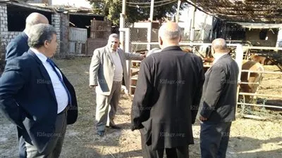 رئيس جامعة بنها يتفقد مزرعة الإنتاج الحيواني بزراعة مشتهر (صور)