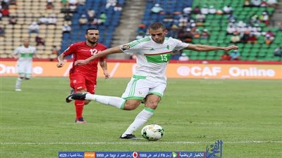 تعرف على حظوظ  تونس والجزائر وزيمبابوي في التأهل لدور الـ 8 ببطولة إفريقيا