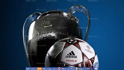 رسميا.. ألمانيا تطلب استضافة يورو 2024