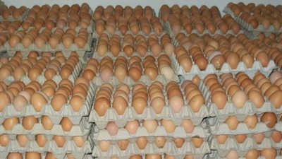  بعد وصول سعر طبق البيض إلى 45 جنيهاً.. 