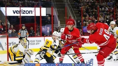 دوري هوكي الجليد.. كارولاينا يسفط أمام بيتسبرج  