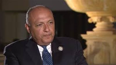 وزير الخارجية: مصر تتواصل مع الأطراف الدولية لرفع حظر الأسلحة عن ليبيا