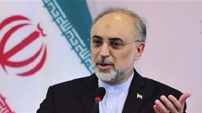 مسؤول إيراني يؤكد قدرة بلاده على استئناف نشاطها النووي السابق سريعًا