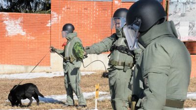 خبراء المتفجرات الروس ينزعون 25000 عبوة ناسفة في حلب