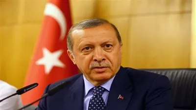 أردوغان: تنظيم 
