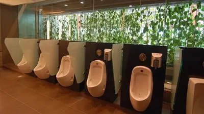 ماهو حكم الشرع في 