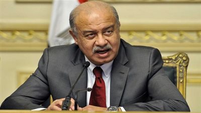 الحكومة: 25 يناير إجازة رسمية