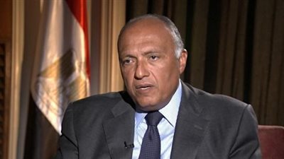 مصادر: شكري مستمر في منصبه.. ومصر لا تغير سياستها بتغير الأشخاص 