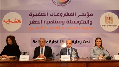  وزيرة التعاون الدولى: تخصيص 50% من المنح المقدمة لدعم المشروعات الصغيرة للمرأة (صور)