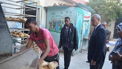 الرقابة الإدارية بقنا تشن حملات لمتابعة 