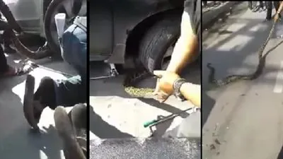  في مشهد مريع.. رجلان يخرجان ثعبان ضخم من محرك سيارة (فيديو) !