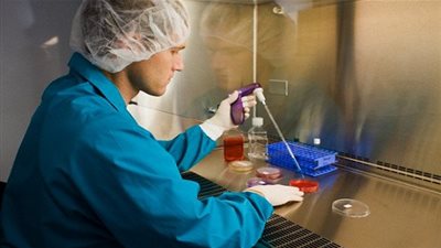 تحذير لمرضى السكري.. زراعة الجذعية جريمة طبية