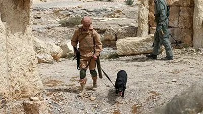 العسكريون الروس يطهرون 70 هكتارا من الألغام في حلب