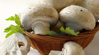 دراسة : عيش الغراب يقي من الإصابة بالزهايمر