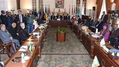 مصر تعلن مشاركتها في اجتماع اللجنة الأفريقية حول ليبيا 