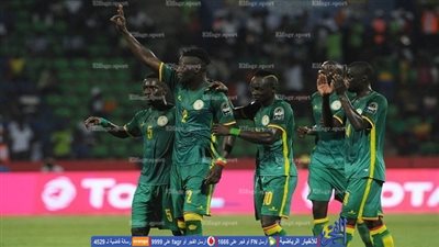 تاريخ مواجهات السنغال والكاميرون في أمم إفريقيا