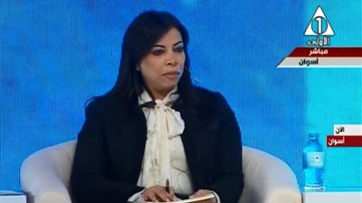 وزيرة الاستثمار: يوجد حاليا 366 فرصة استثمارية جديدة في الصعيد