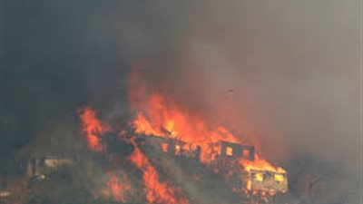 مصرع 11 شخصًا جراء حرائق غابات في تشيلي