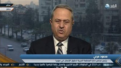 حقوقي: مليون سوري هاجروا إلى تركيا وأوروبا بطريقة غير شرعية  