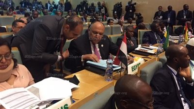 وزير الخارجية: مصر تدعم الحكومة النيجيرية في مواجهة الإرهاب