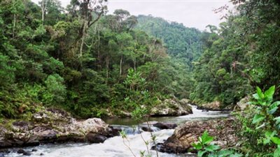 مقتل 45 شخصا بحادث لموكب زفاف في مدغشقر