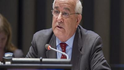 فلسطين تطالب مجلس الأمن بالحزم قبل فوات الآوان