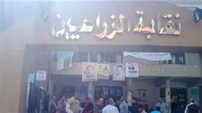 غدا.. 24 ألف مهندس يدلون بأصواتهم في انتخابات نقابة الزراعيين بالبحيرة