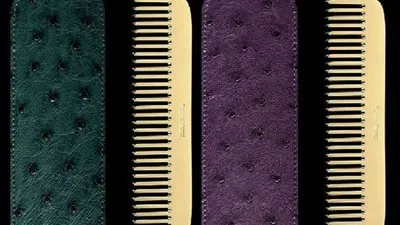 تعرف على أغلى وأغرب 