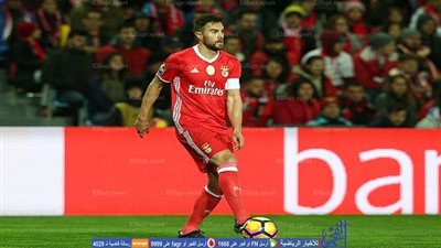 الدوري البرتغالي.. سيتوبال يوقف انتصارات بنفيكا 