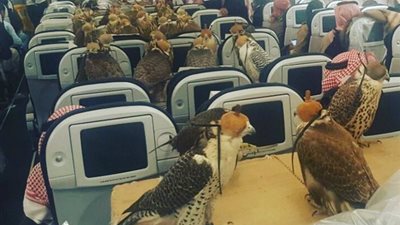 أمير سعودي يشتري 80 تذكرة طيران لصقوره