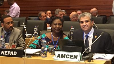 وزير البيئة يستعرض التطورات الخاصة بالمبادرة الأفريقية للتكيف