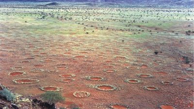 العلماء يفكون لغز 