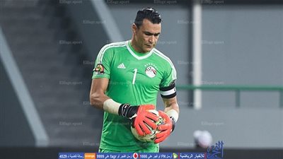 عصام الحضري ينقد هدفا مؤكدا أمام بوركينا فاسو (فيديو)